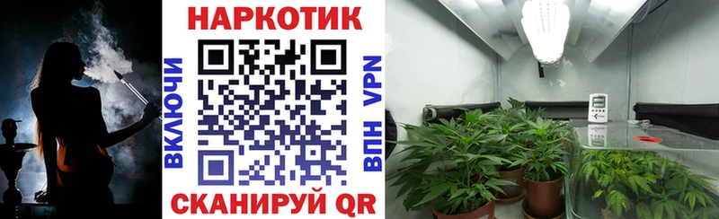 Магазин наркотиков Куйбышев Конопля  А ПВП  Cocaine  Гашиш  Галлюциногенные грибы  Мефедрон 