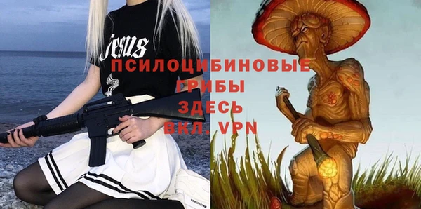 прущая мука Белокуриха