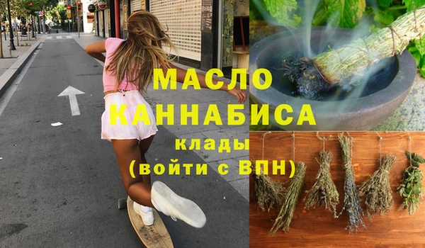 индика Карпинск